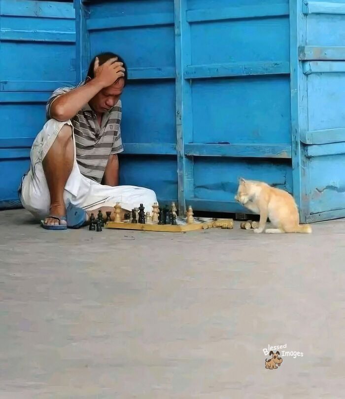 113 ‘Blessed Images’ That May Turn Your Day Around And Make It Better (New Pics) 113 ‘Blessed Images’ That May Turn Your Day Around And Make It Better (New Pics)