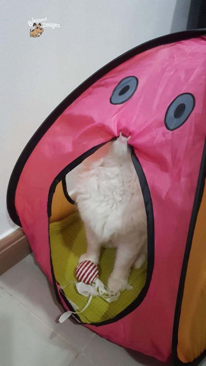 113 ‘Blessed Images’ That May Turn Your Day Around And Make It Better (New Pics) 113 ‘Blessed Images’ That May Turn Your Day Around And Make It Better (New Pics)