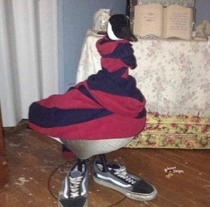 113 ‘Blessed Images’ That May Turn Your Day Around And Make It Better (New Pics) 113 ‘Blessed Images’ That May Turn Your Day Around And Make It Better (New Pics)