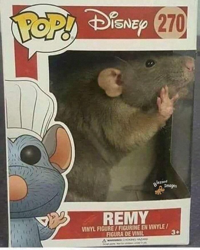 113 ‘Blessed Images’ That May Turn Your Day Around And Make It Better (New Pics) 113 ‘Blessed Images’ That May Turn Your Day Around And Make It Better (New Pics)