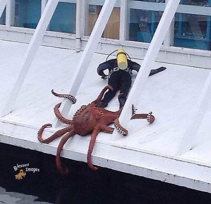 113 ‘Blessed Images’ That May Turn Your Day Around And Make It Better (New Pics) 113 ‘Blessed Images’ That May Turn Your Day Around And Make It Better (New Pics)