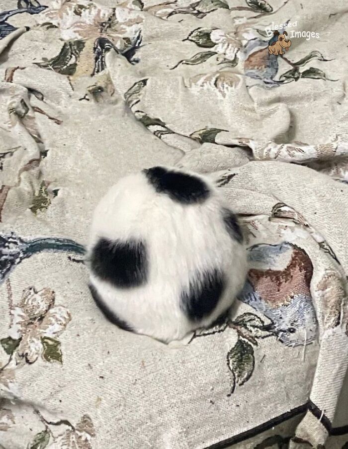 113 ‘Blessed Images’ That May Turn Your Day Around And Make It Better (New Pics) 113 ‘Blessed Images’ That May Turn Your Day Around And Make It Better (New Pics)