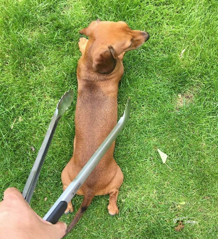 113 ‘Blessed Images’ That May Turn Your Day Around And Make It Better (New Pics) 113 ‘Blessed Images’ That May Turn Your Day Around And Make It Better (New Pics)