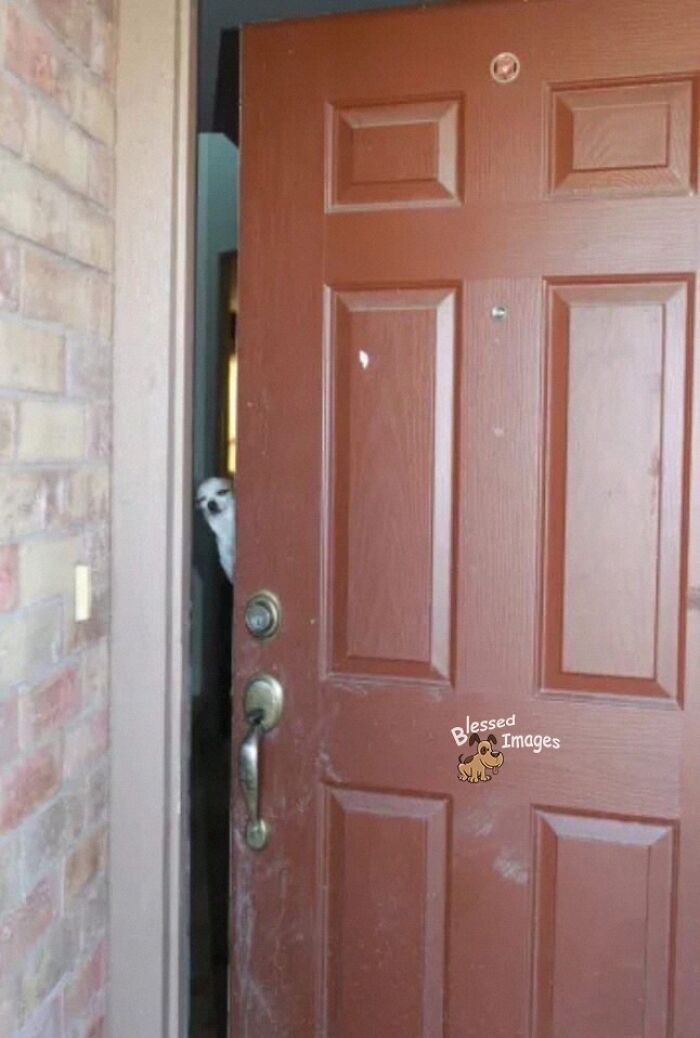 113 ‘Blessed Images’ That May Turn Your Day Around And Make It Better (New Pics) 113 ‘Blessed Images’ That May Turn Your Day Around And Make It Better (New Pics)