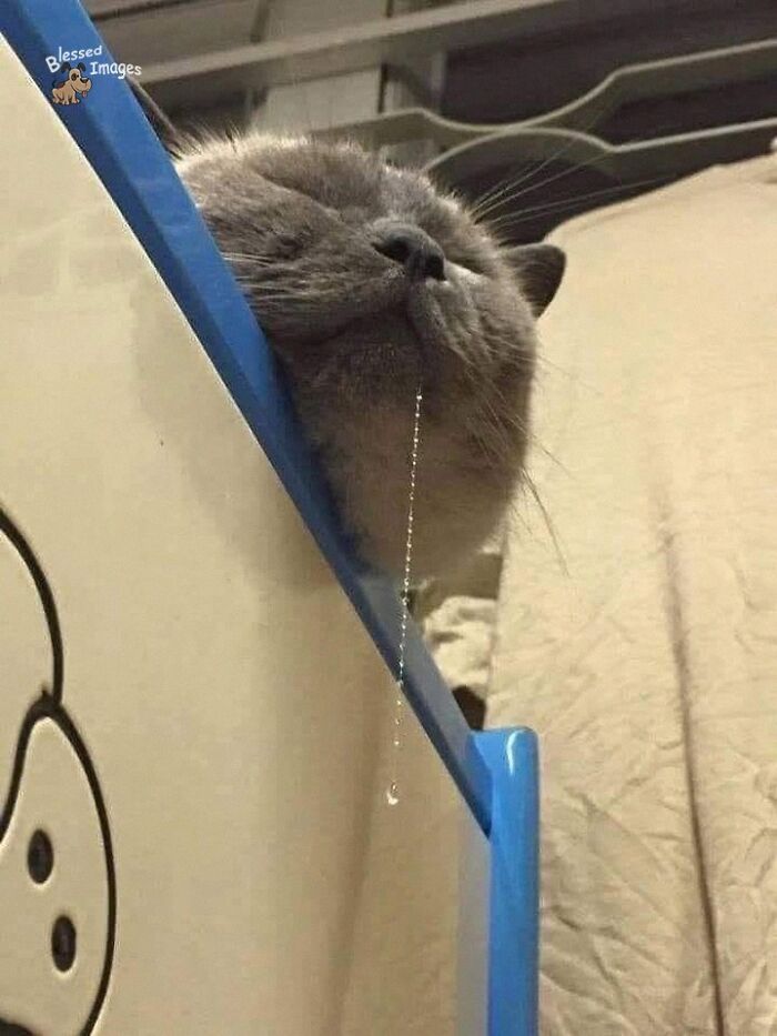 113 ‘Blessed Images’ That May Turn Your Day Around And Make It Better (New Pics) 113 ‘Blessed Images’ That May Turn Your Day Around And Make It Better (New Pics)