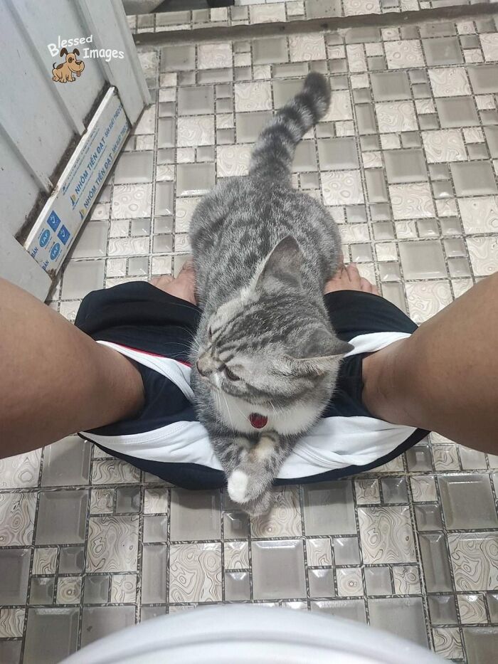 113 ‘Blessed Images’ That May Turn Your Day Around And Make It Better (New Pics) 113 ‘Blessed Images’ That May Turn Your Day Around And Make It Better (New Pics)