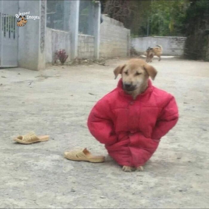 113 ‘Blessed Images’ That May Turn Your Day Around And Make It Better (New Pics) 113 ‘Blessed Images’ That May Turn Your Day Around And Make It Better (New Pics)