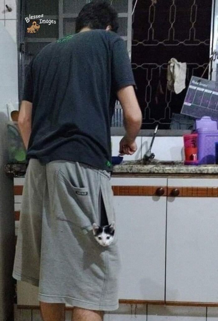 113 ‘Blessed Images’ That May Turn Your Day Around And Make It Better (New Pics) 113 ‘Blessed Images’ That May Turn Your Day Around And Make It Better (New Pics)