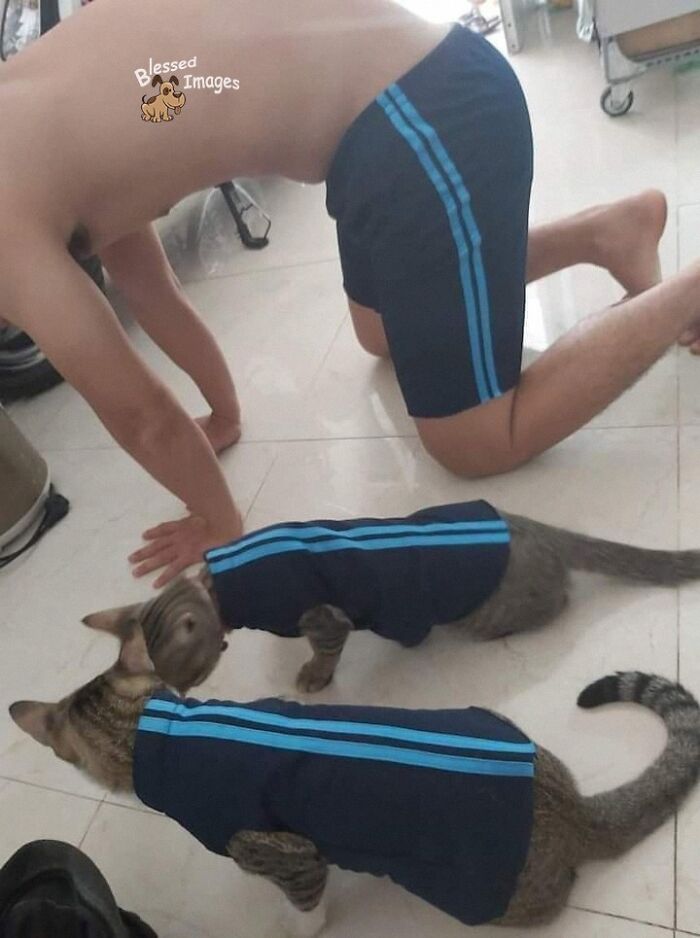 113 ‘Blessed Images’ That May Turn Your Day Around And Make It Better (New Pics) 113 ‘Blessed Images’ That May Turn Your Day Around And Make It Better (New Pics)