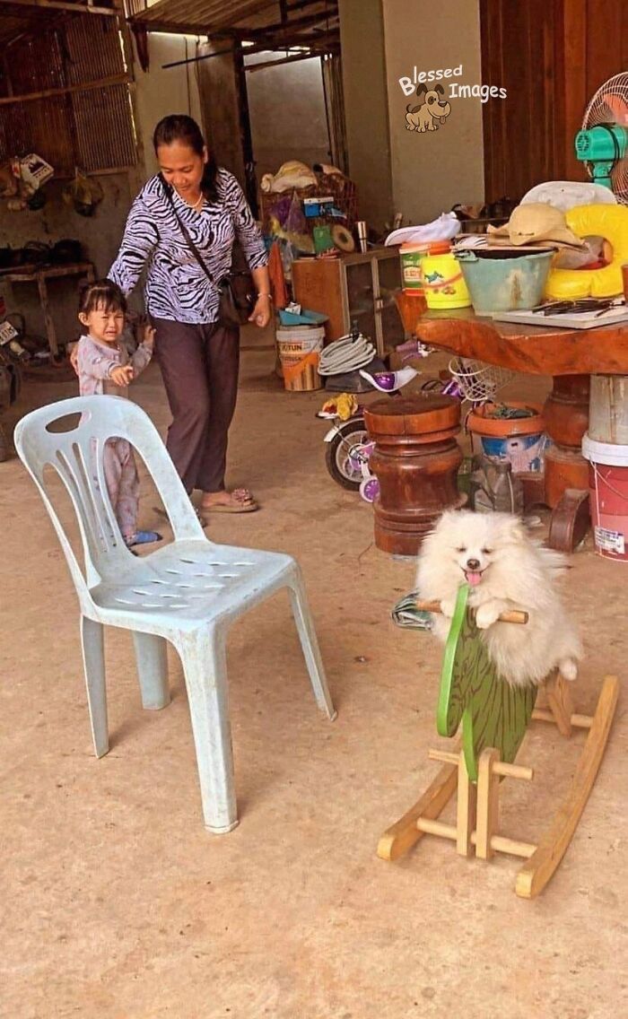 113 ‘Blessed Images’ That May Turn Your Day Around And Make It Better (New Pics) 113 ‘Blessed Images’ That May Turn Your Day Around And Make It Better (New Pics)