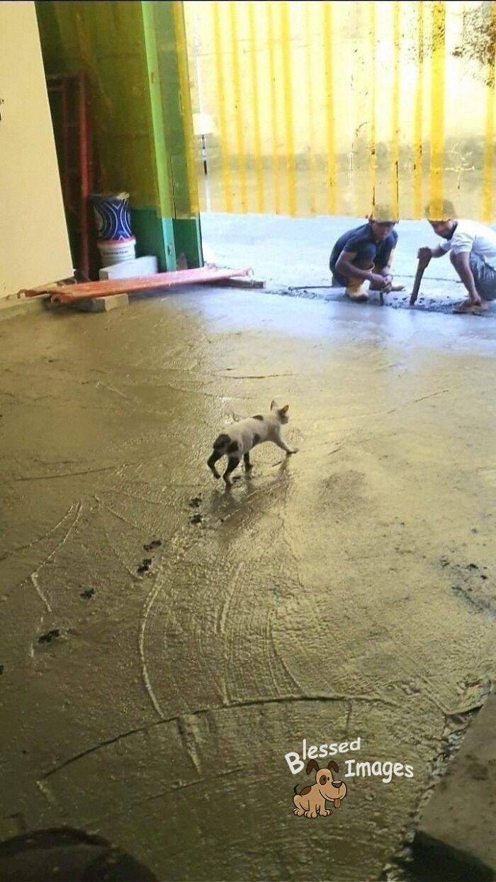 113 ‘Blessed Images’ That May Turn Your Day Around And Make It Better (New Pics) 113 ‘Blessed Images’ That May Turn Your Day Around And Make It Better (New Pics)