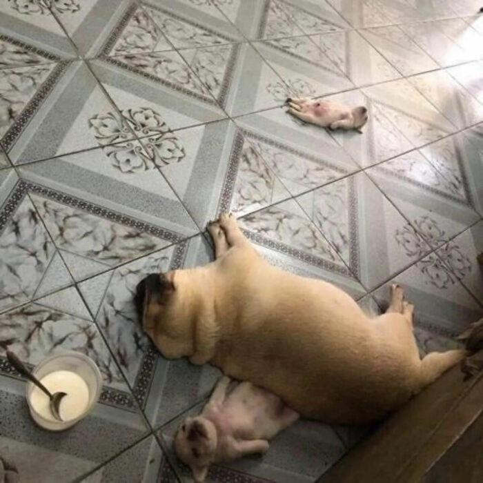 113 ‘Blessed Images’ That May Turn Your Day Around And Make It Better (New Pics) 113 ‘Blessed Images’ That May Turn Your Day Around And Make It Better (New Pics)