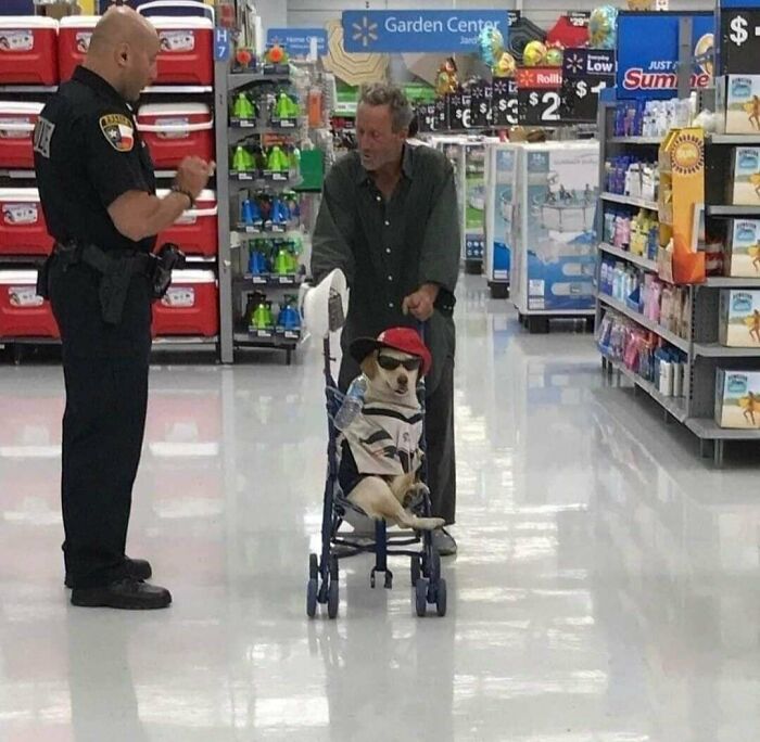 113 ‘Blessed Images’ That May Turn Your Day Around And Make It Better (New Pics) 113 ‘Blessed Images’ That May Turn Your Day Around And Make It Better (New Pics)