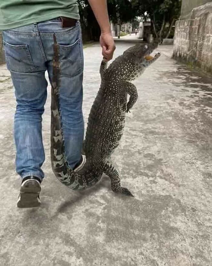 113 ‘Blessed Images’ That May Turn Your Day Around And Make It Better (New Pics) 113 ‘Blessed Images’ That May Turn Your Day Around And Make It Better (New Pics)