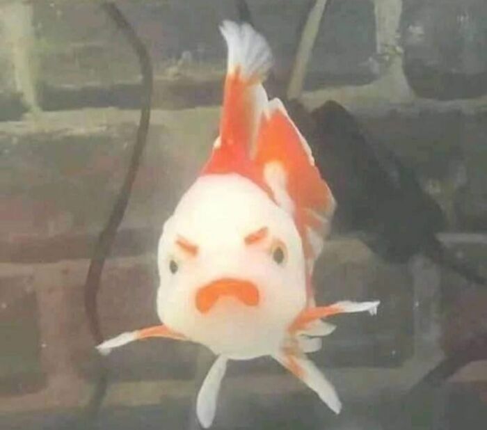 113 ‘Blessed Images’ That May Turn Your Day Around And Make It Better (New Pics) 113 ‘Blessed Images’ That May Turn Your Day Around And Make It Better (New Pics)