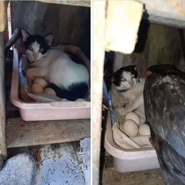 113 ‘Blessed Images’ That May Turn Your Day Around And Make It Better (New Pics) 113 ‘Blessed Images’ That May Turn Your Day Around And Make It Better (New Pics)