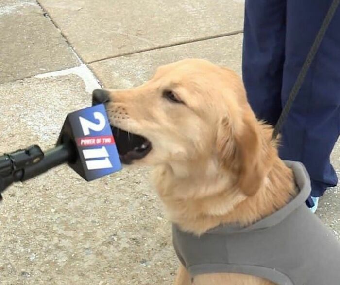 113 ‘Blessed Images’ That May Turn Your Day Around And Make It Better (New Pics) 113 ‘Blessed Images’ That May Turn Your Day Around And Make It Better (New Pics)