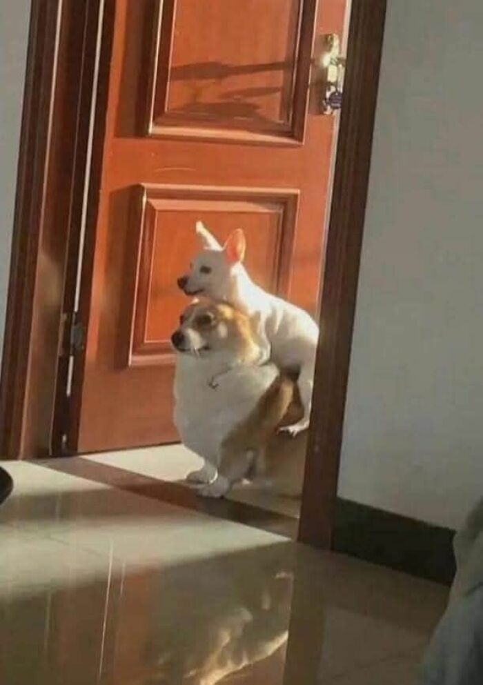 113 ‘Blessed Images’ That May Turn Your Day Around And Make It Better (New Pics) 113 ‘Blessed Images’ That May Turn Your Day Around And Make It Better (New Pics)