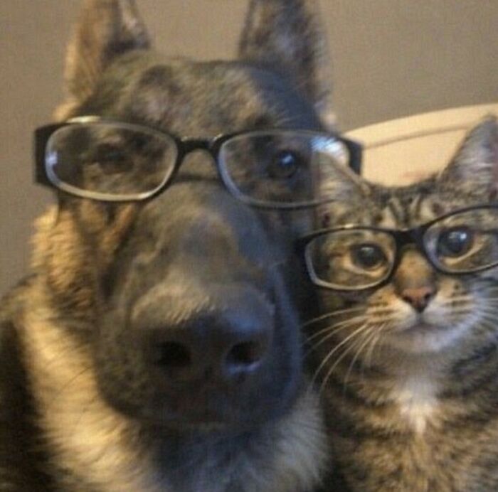 113 ‘Blessed Images’ That May Turn Your Day Around And Make It Better (New Pics) 113 ‘Blessed Images’ That May Turn Your Day Around And Make It Better (New Pics)