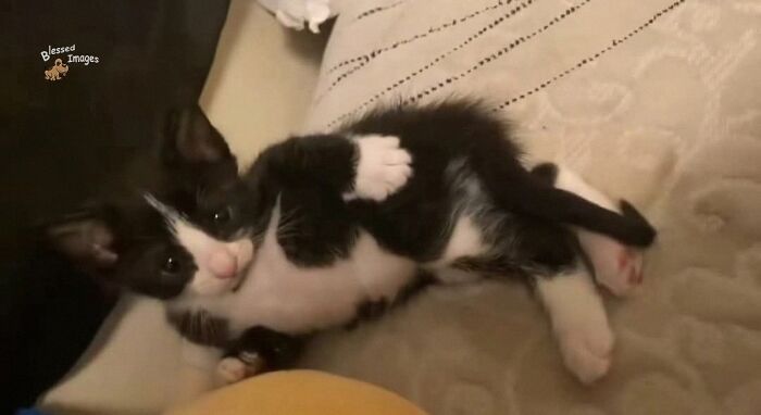 113 ‘Blessed Images’ That May Turn Your Day Around And Make It Better (New Pics) 113 ‘Blessed Images’ That May Turn Your Day Around And Make It Better (New Pics)