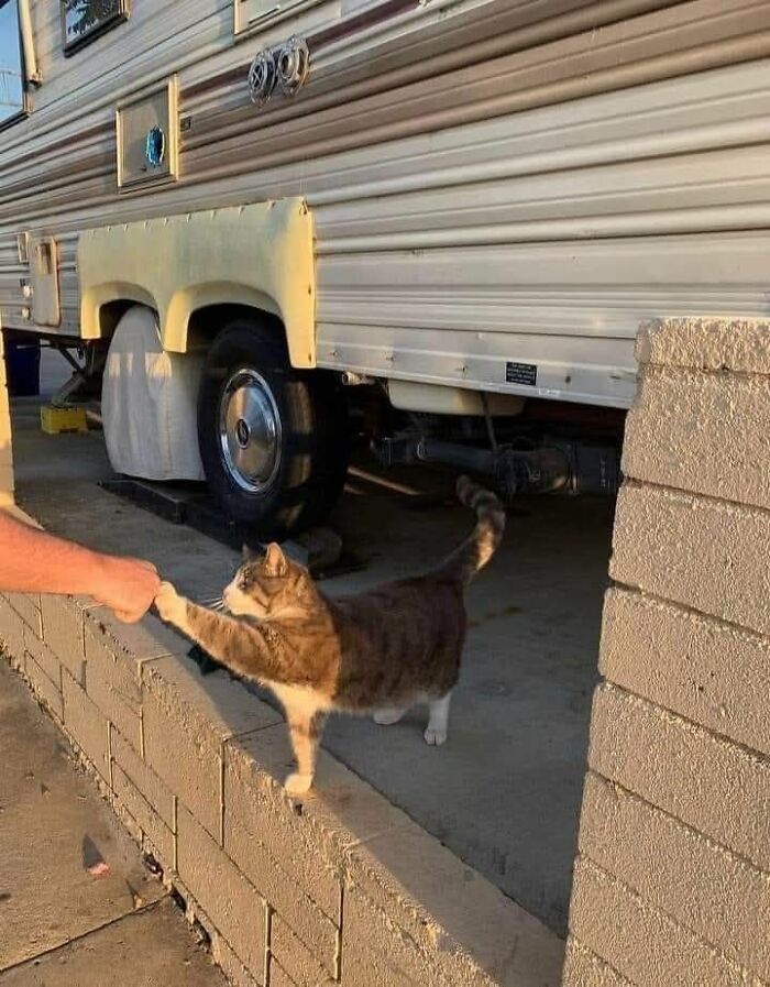 113 ‘Blessed Images’ That May Turn Your Day Around And Make It Better (New Pics) 113 ‘Blessed Images’ That May Turn Your Day Around And Make It Better (New Pics)