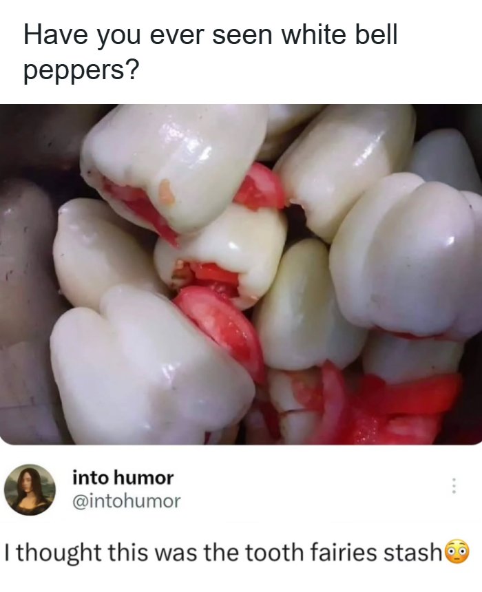 57 Hilarious Memes You’ll Probably Find Amusing And Totally Relatable