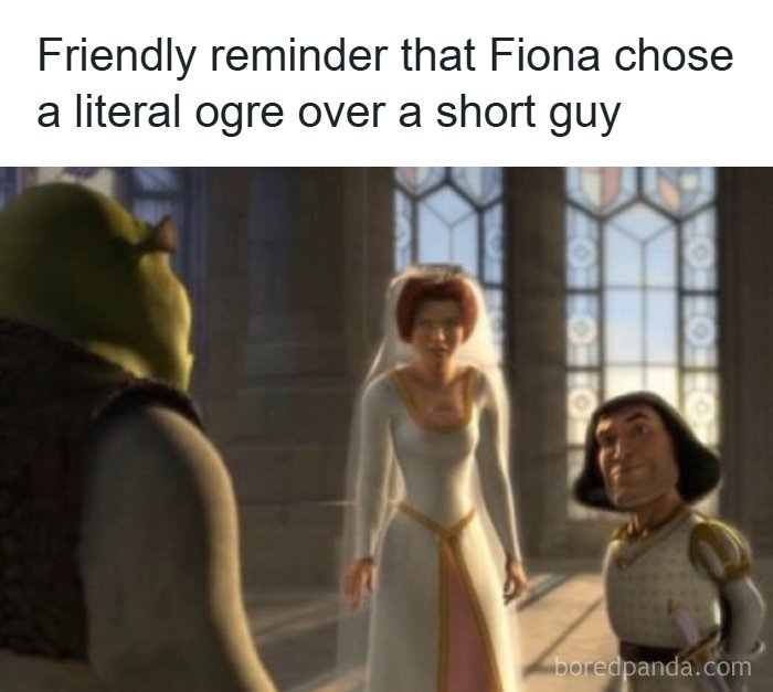 57 Hilarious Memes You’ll Probably Find Amusing And Totally Relatable