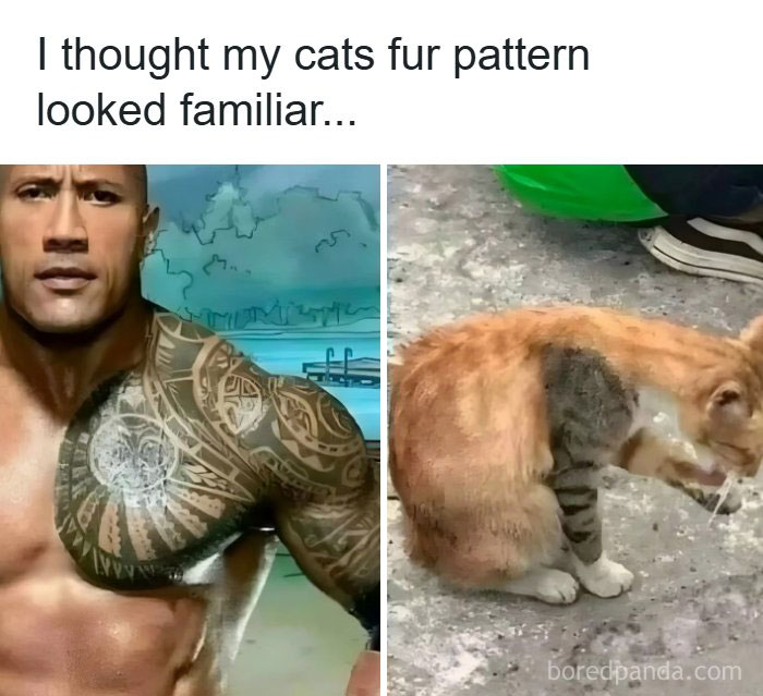 57 Hilarious Memes You’ll Probably Find Amusing And Totally Relatable