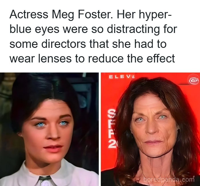 57 Hilarious Memes You’ll Probably Find Amusing And Totally Relatable