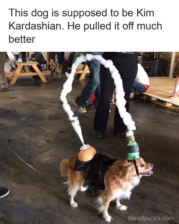 57 Hilarious Memes You’ll Probably Find Amusing And Totally Relatable