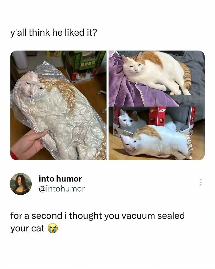 57 Hilarious Memes You’ll Probably Find Amusing And Totally Relatable