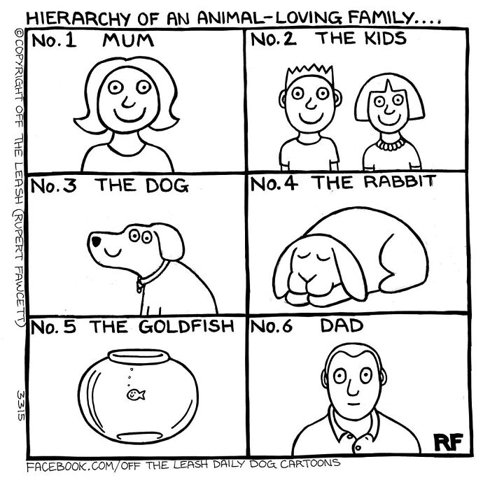 Living With Dogs Summed Up In 38 New Comics By &ldquo;Off The Leash&rdquo;