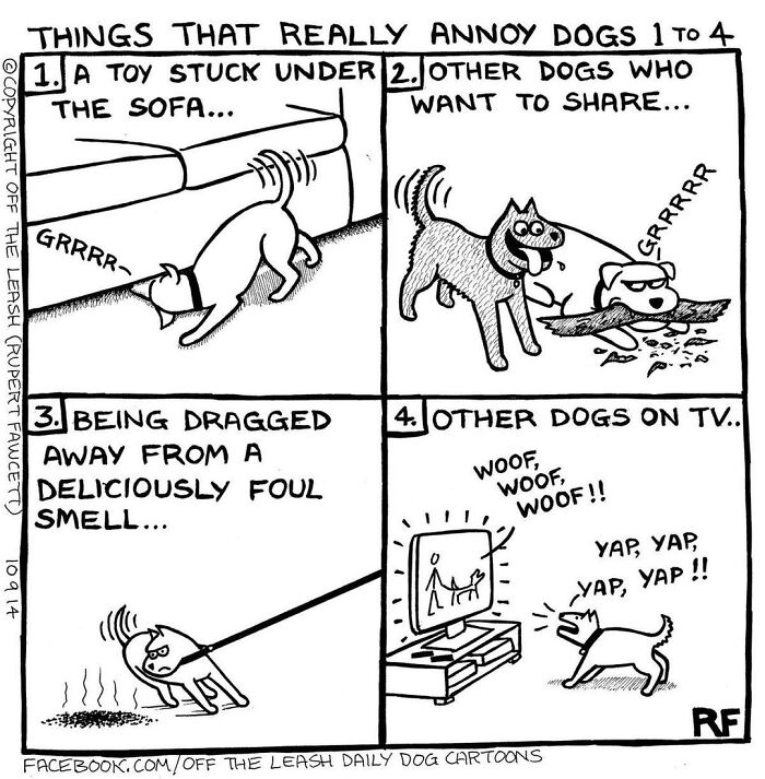 Living With Dogs Summed Up In 38 New Comics By &ldquo;Off The Leash&rdquo;