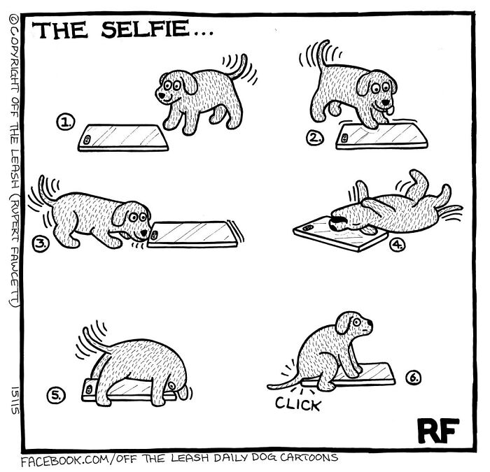 Living With Dogs Summed Up In 38 New Comics By &ldquo;Off The Leash&rdquo;