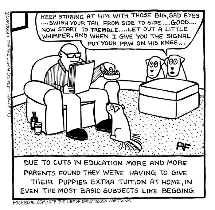 Living With Dogs Summed Up In 38 New Comics By &ldquo;Off The Leash&rdquo;