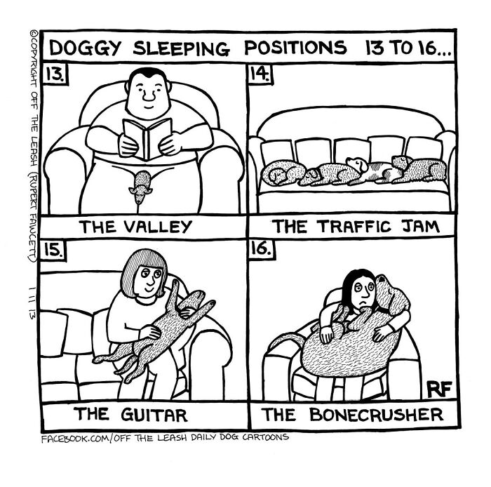 Living With Dogs Summed Up In 38 New Comics By &ldquo;Off The Leash&rdquo;