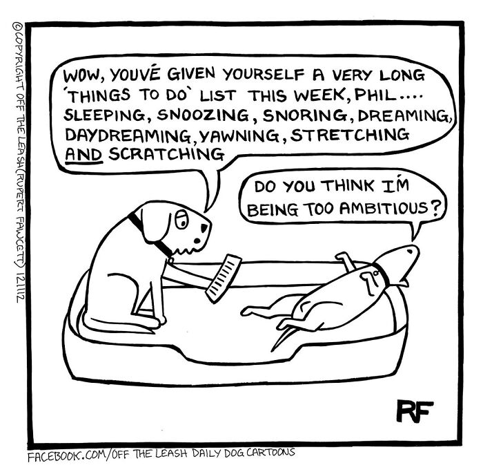 Living With Dogs Summed Up In 38 New Comics By &ldquo;Off The Leash&rdquo;