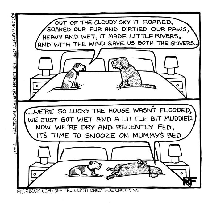 Living With Dogs Summed Up In 38 New Comics By &ldquo;Off The Leash&rdquo;
