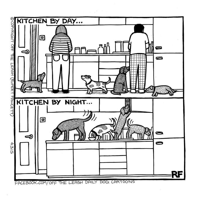 Living With Dogs Summed Up In 38 New Comics By &ldquo;Off The Leash&rdquo;