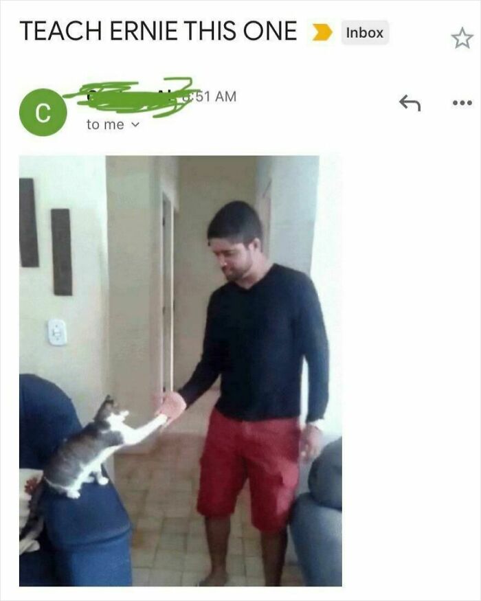 &ldquo;Is My Boss Using ChatGPT To Email Me?&rdquo;: 43 Of The Most Random And Funny Emails (New Pics)