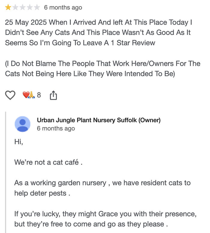 97 Absurd Reviews From Entitled People Who Clearly Don&rsquo;t Understand How The World Works (New Pics)