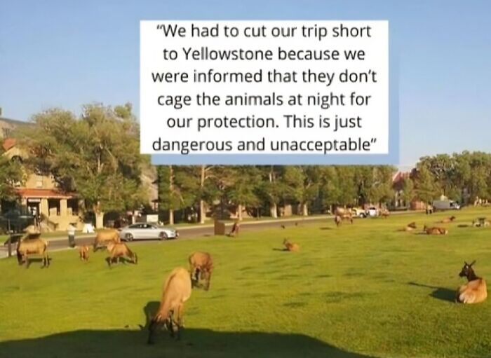 &ldquo;He Slapped Her Back&rdquo;: 73 People Call Out Entitled &lsquo;Karens&rsquo; Who Seem To Be Missing A Sense Of Shame