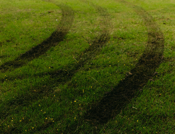 63 Horrible Neighbors Who Made Sharing The Same Neighborhood With Them Absolutely Miserable