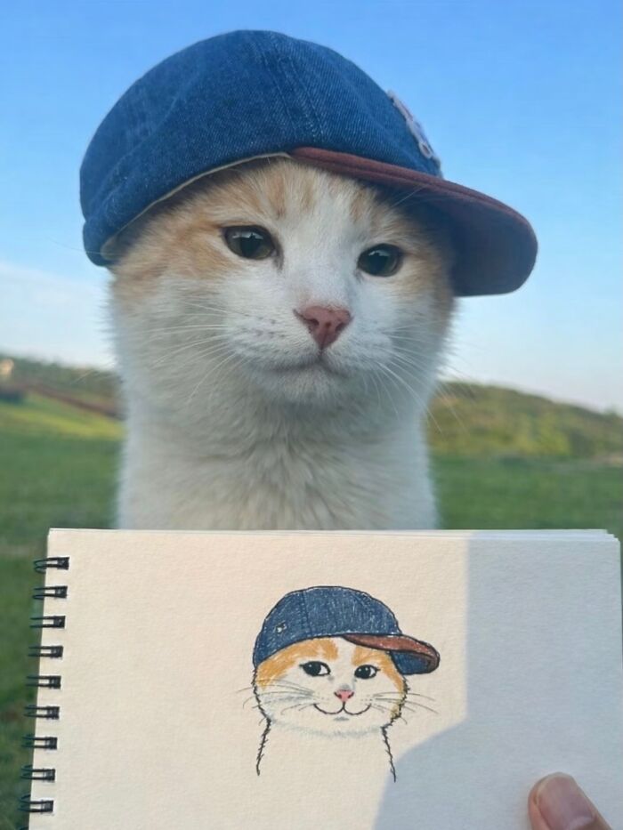 80 Hilarious Cat Moments Caught On Camera, Shared On This Page