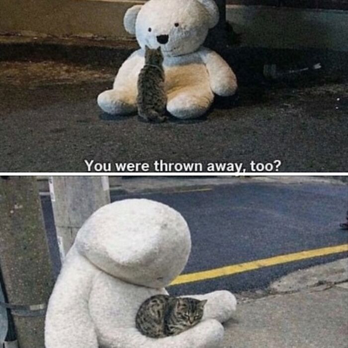 80 Hilarious Cat Moments Caught On Camera, Shared On This Page