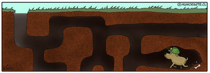 71 New Comics By Karlo Ferdon That Tell Funny Stories Without Saying A Thing