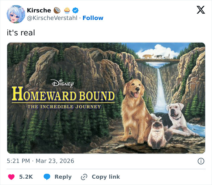 Seven Kidnapped Dogs Become Viral Sensation After They Escape Captors To Make Brave Journey Home Together