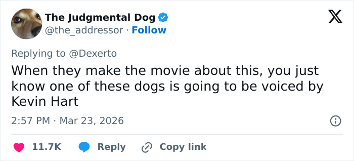 Seven Kidnapped Dogs Become Viral Sensation After They Escape Captors To Make Brave Journey Home Together