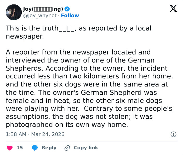 Seven Kidnapped Dogs Become Viral Sensation After They Escape Captors To Make Brave Journey Home Together