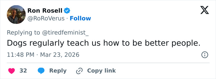 Seven Kidnapped Dogs Become Viral Sensation After They Escape Captors To Make Brave Journey Home Together